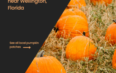Pumpkin Patches in Wellington Florida
