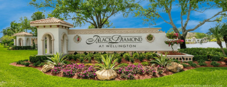 Black Diamond Wellington FL Homes for Sale Community Overview