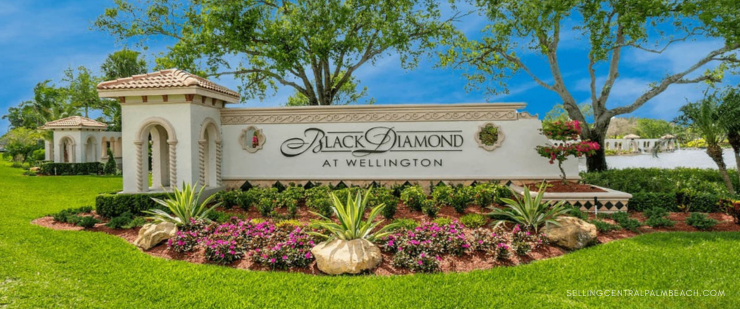 Black Diamond Wellington FL Homes for Sale Community Overview