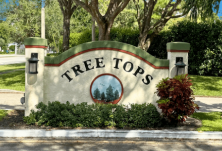 Tree Tops